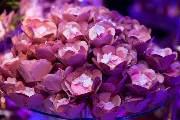 cz-festa-15-anos-larissa-manoela-lucas-casa-petra-9