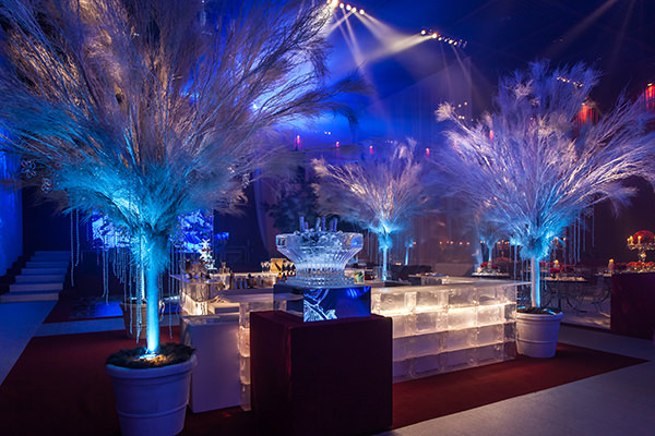 Festa de 15 anos, Bruna Urias, Marcelo Bacchin