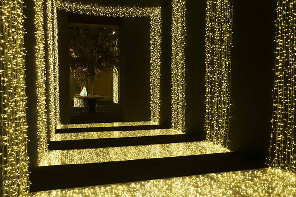 Festa de 15 anos, Fernanda Scuracchio, Maria Edoarda